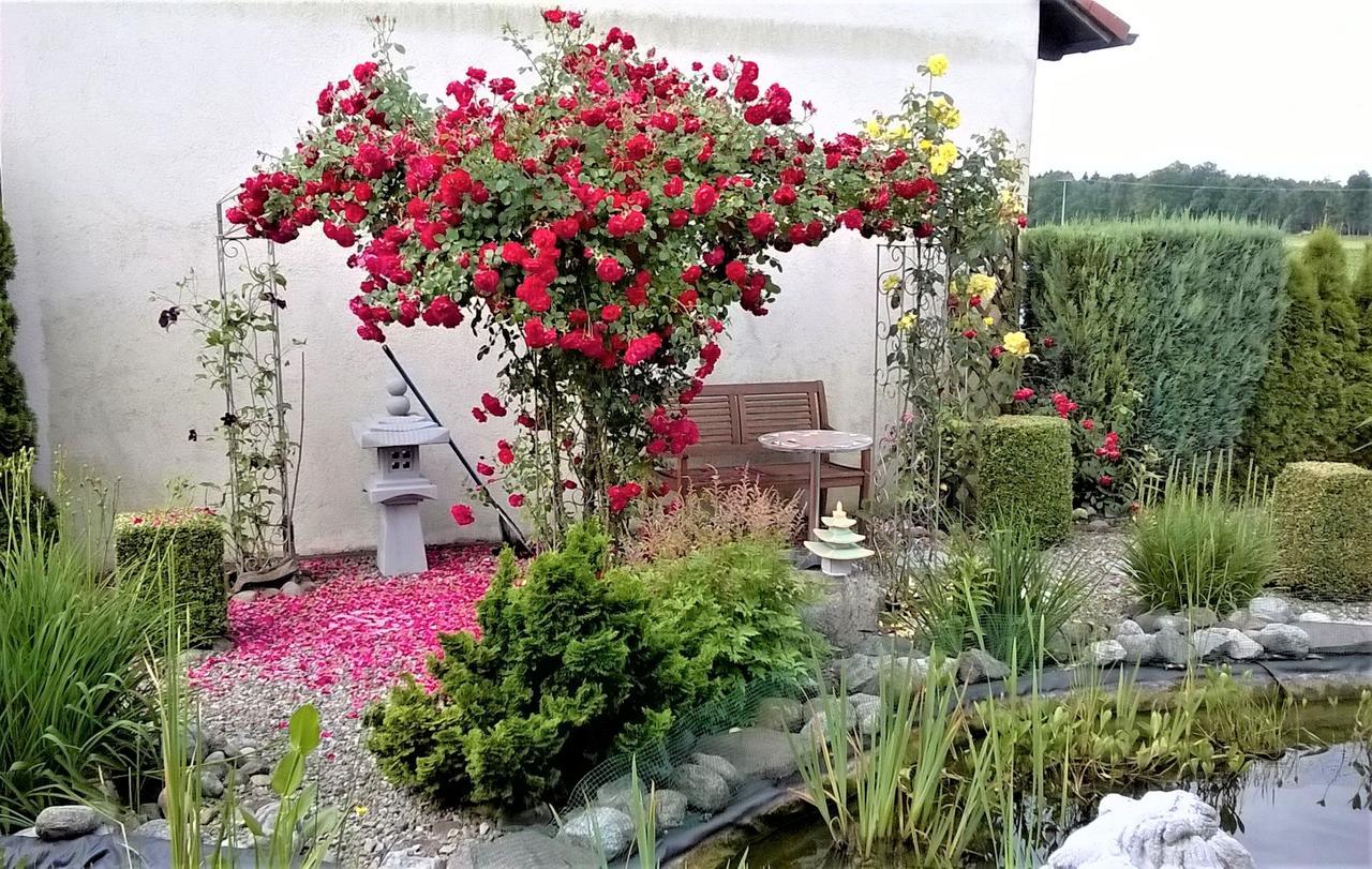 Ferienwohnung Beim Ried Bad Waldsee Dış mekan fotoğraf